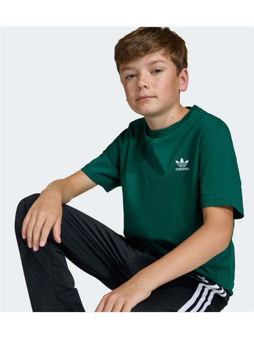 tee ADIDAS ORIGINAL | KE0450CGREEN